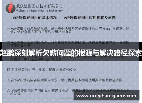 赵鹏深刻解析欠薪问题的根源与解决路径探索